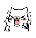 White Man Tou！Ma Su Cat！ v1.0（個別スタンプ：1）