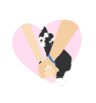 Border Collie Cute（個別スタンプ：20）