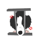 Border Collie Cute（個別スタンプ：29）