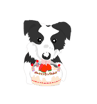 Border Collie Cute（個別スタンプ：30）