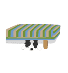 Border Collie Cute（個別スタンプ：32）