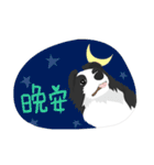 Border Collie Cute（個別スタンプ：40）