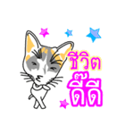 Maew Maew Thai Cat Ver.2（個別スタンプ：1）