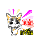 Maew Maew Thai Cat Ver.2（個別スタンプ：2）