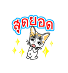 Maew Maew Thai Cat Ver.2（個別スタンプ：3）