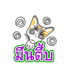 Maew Maew Thai Cat Ver.2（個別スタンプ：4）