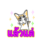 Maew Maew Thai Cat Ver.2（個別スタンプ：5）