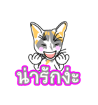 Maew Maew Thai Cat Ver.2（個別スタンプ：8）
