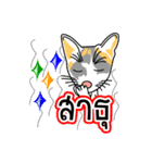 Maew Maew Thai Cat Ver.2（個別スタンプ：11）