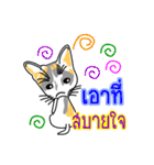 Maew Maew Thai Cat Ver.2（個別スタンプ：12）