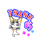 Maew Maew Thai Cat Ver.2（個別スタンプ：13）