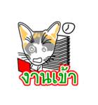 Maew Maew Thai Cat Ver.2（個別スタンプ：16）