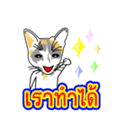 Maew Maew Thai Cat Ver.2（個別スタンプ：19）