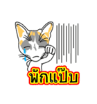 Maew Maew Thai Cat Ver.2（個別スタンプ：20）