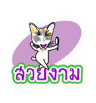 Maew Maew Thai Cat Ver.2（個別スタンプ：23）