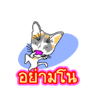 Maew Maew Thai Cat Ver.2（個別スタンプ：26）