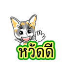 Maew Maew Thai Cat Ver.2（個別スタンプ：27）