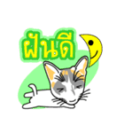 Maew Maew Thai Cat Ver.2（個別スタンプ：30）