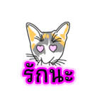 Maew Maew Thai Cat Ver.2（個別スタンプ：31）