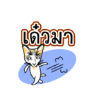 Maew Maew Thai Cat Ver.2（個別スタンプ：32）