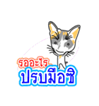 Maew Maew Thai Cat Ver.2（個別スタンプ：34）