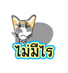 Maew Maew Thai Cat Ver.2（個別スタンプ：36）