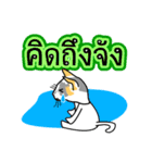 Maew Maew Thai Cat Ver.2（個別スタンプ：37）