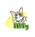 Maew Maew Thai Cat Ver.2（個別スタンプ：40）