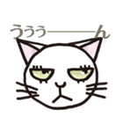 半目の白い猫 02（個別スタンプ：5）