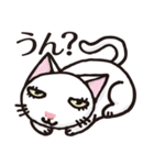 半目の白い猫 02（個別スタンプ：11）