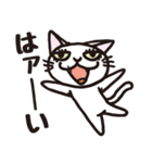 半目の白い猫 02（個別スタンプ：24）