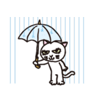 半目の白い猫 02（個別スタンプ：34）