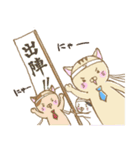 ネコのトラさん（個別スタンプ：3）