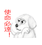 Dogs blessing to（個別スタンプ：22）