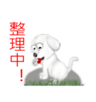 Dogs blessing to（個別スタンプ：30）