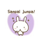 Lucu kelinci (cute rabbit)（個別スタンプ：20）