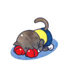 The Boxing Cats（個別スタンプ：25）