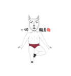 Master Rookie（個別スタンプ：16）