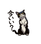 猫スタンプ（白黒）（個別スタンプ：2）