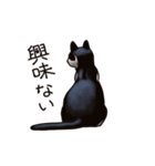 猫スタンプ（白黒）（個別スタンプ：7）