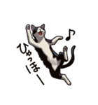 猫スタンプ（白黒）（個別スタンプ：25）