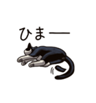 猫スタンプ（白黒）（個別スタンプ：30）