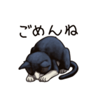 猫スタンプ（白黒）（個別スタンプ：33）
