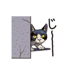 猫スタンプ（白黒）（個別スタンプ：35）