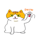Tuffin（個別スタンプ：8）