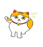 Tuffin（個別スタンプ：21）