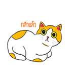 Tuffin（個別スタンプ：29）