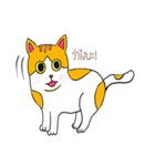 Tuffin（個別スタンプ：31）