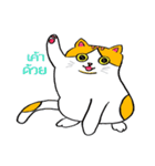 Tuffin（個別スタンプ：36）