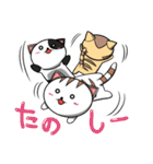 コテコテねこちゃん（個別スタンプ：6）